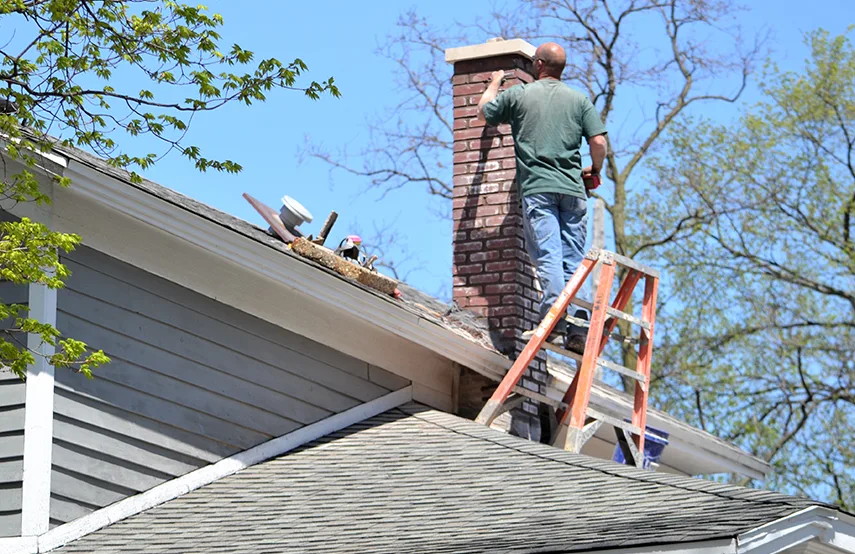 Chimney & Fireplace Inspections Services in Sulphur Springs, TX